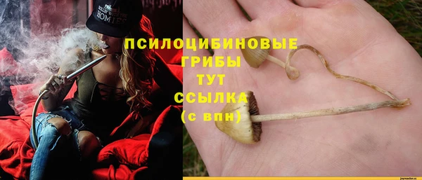 дмт Баксан