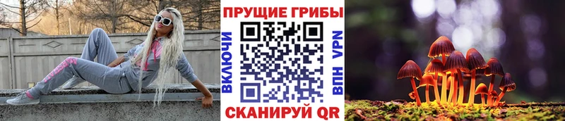 Галлюциногенные грибы Psilocybine cubensis  Верея 